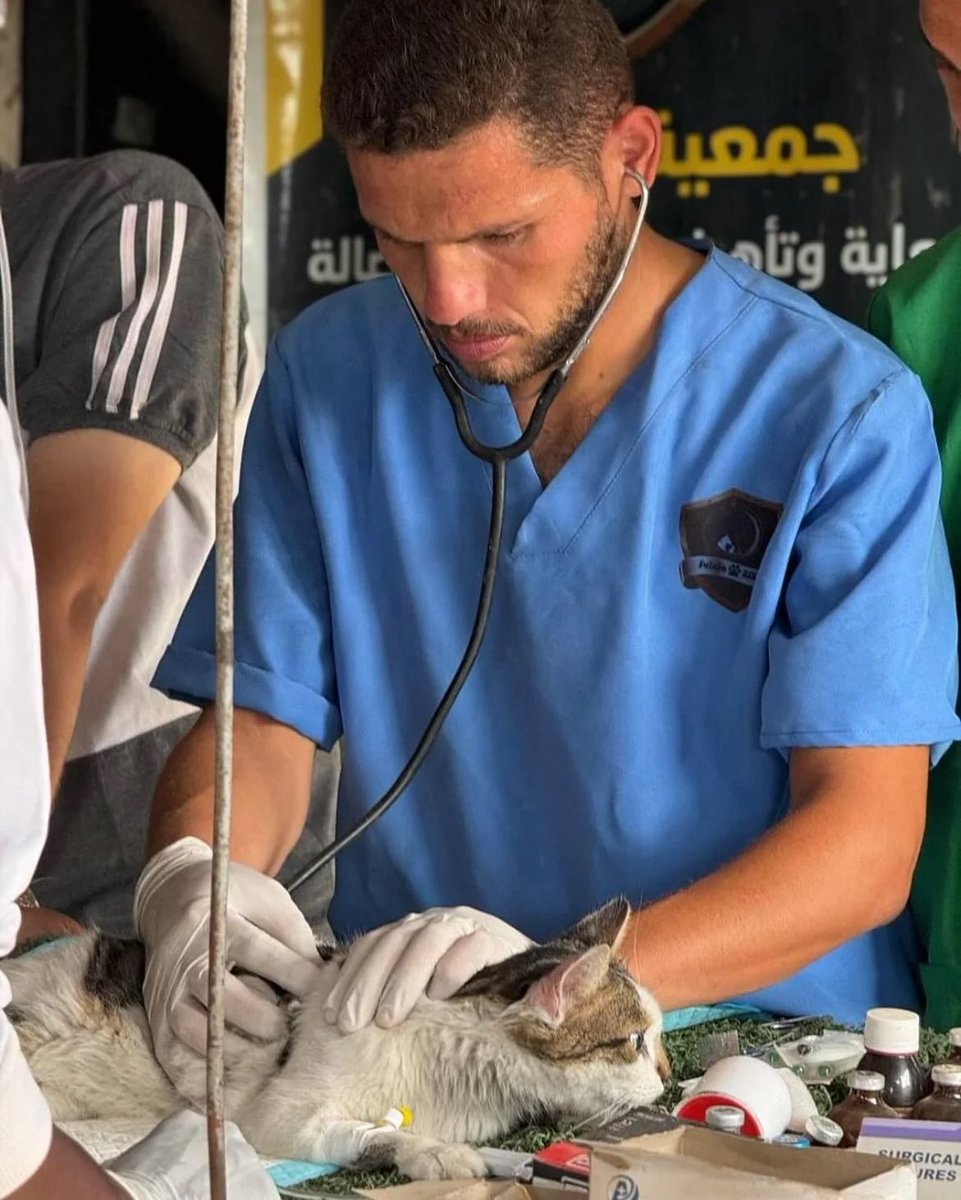 Zionists killed veterinarian Dr. Mu’ath Abu Rukba during the ceasefire, in case you missed it.