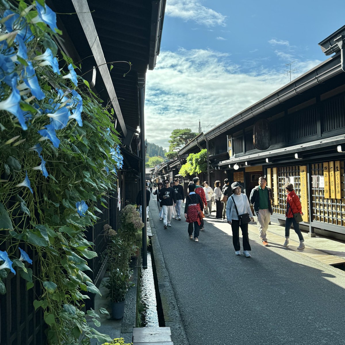 高砂よういち 🎥 (@1posi) / Posts / X