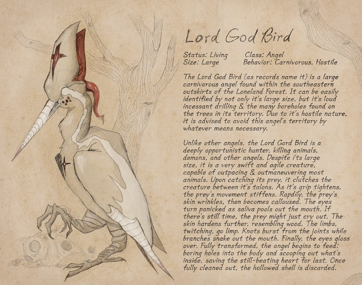 MothChip tweet media