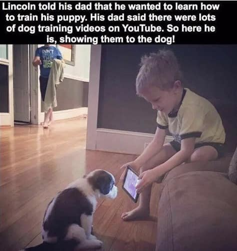 WholesomeMeme's tweet photo. https://t.co/LNajYB0Rmh
