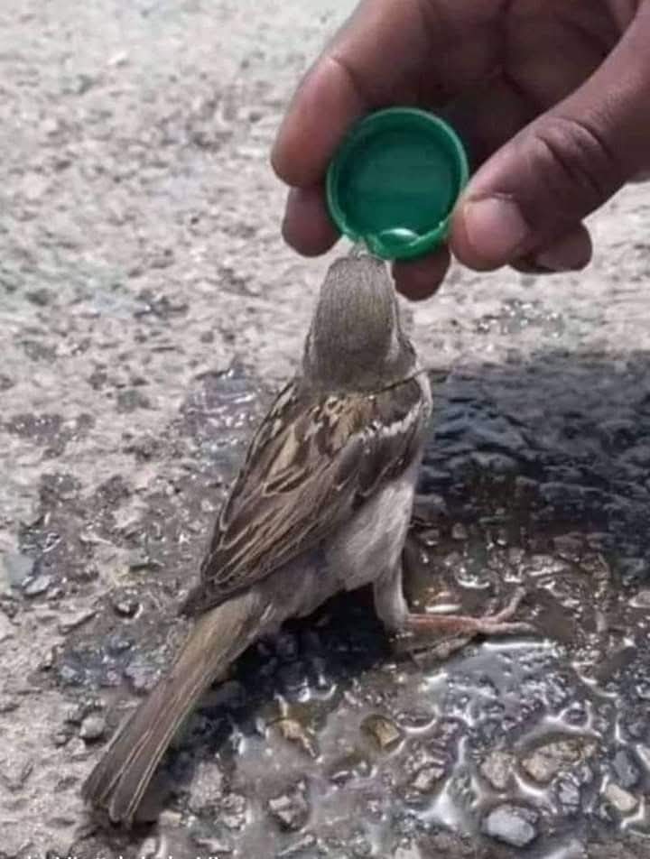 Niyetin değeri sözle değil,
Uğruna göze aldığın  çabayla ölçülür..
Hayırlı sabahlar ☀️🌺