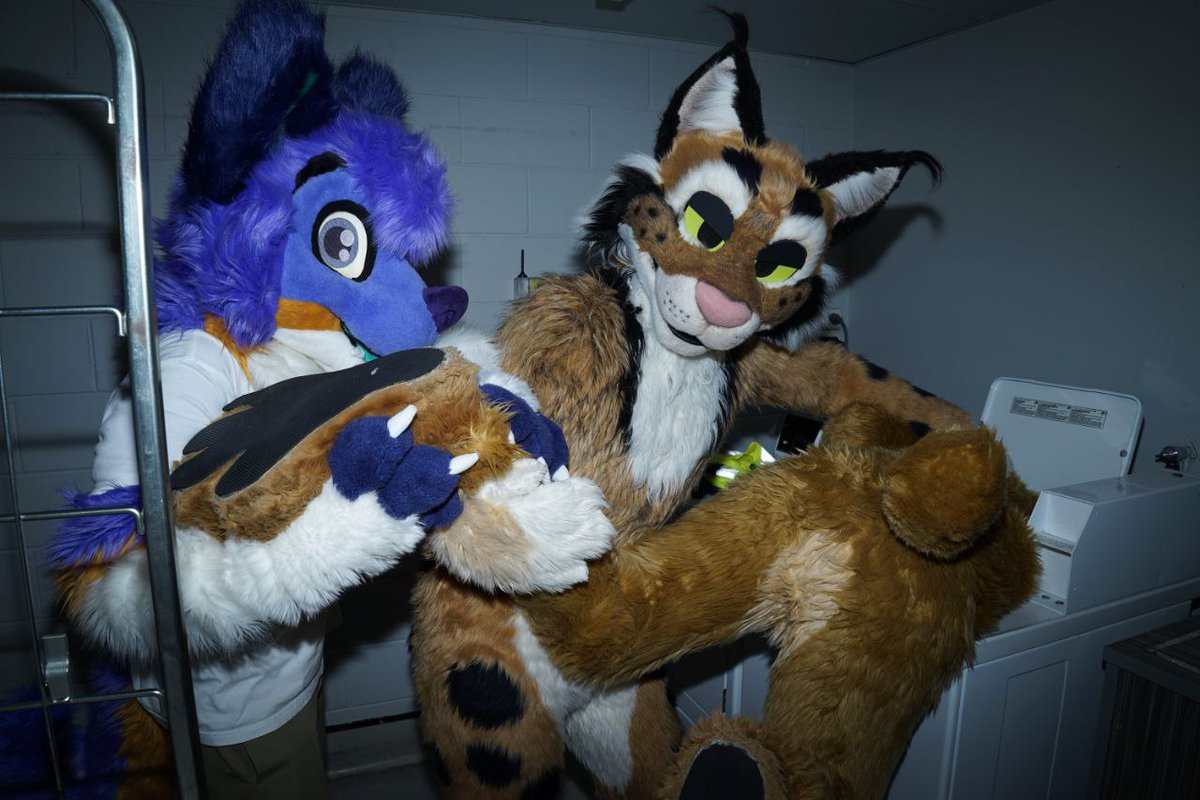 Make sure to wash the dog! With help from <a href="/FlowdyHusky/">Flowdy 🐶🦺</a> <a href="/toastedlynx/">Toasted Lynx</a> 
📷 🦋 kivuli