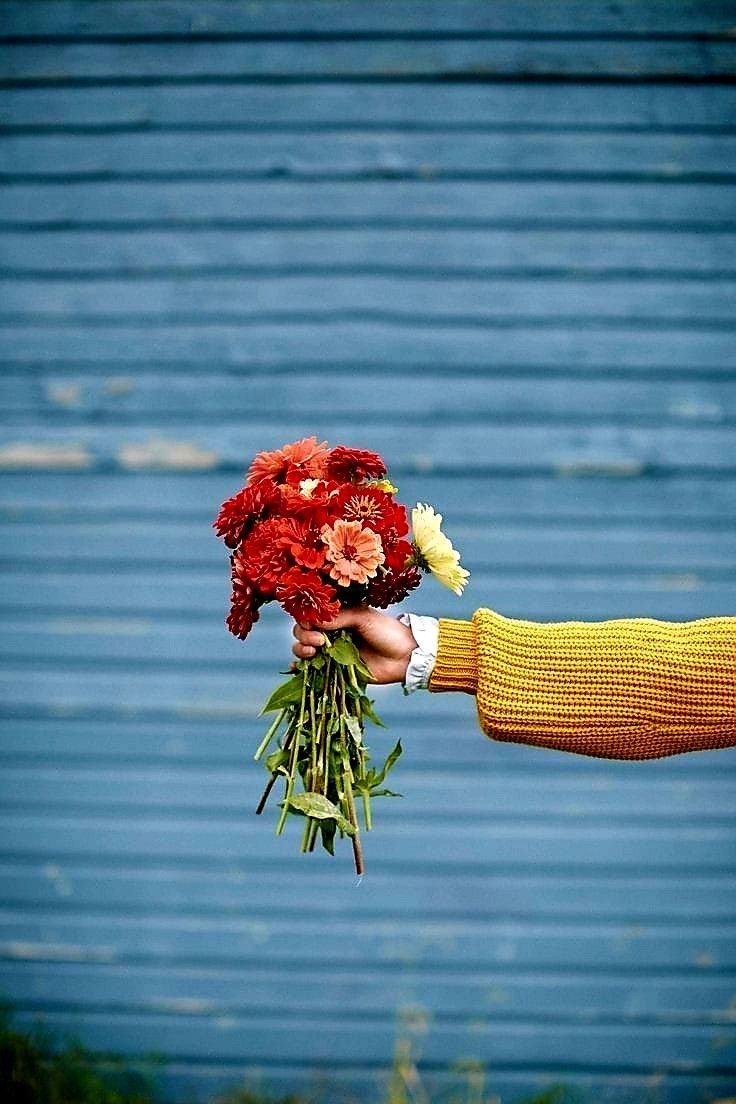 s_msonia's tweet image. "Luego alcancé a comprender que el tiempo nunca se gana, y que nunca se pierde, que la vida se gasta, simplemente."
-Almudena Grandes ✍️
#FelizLunes 
#BuenosDiasATodos