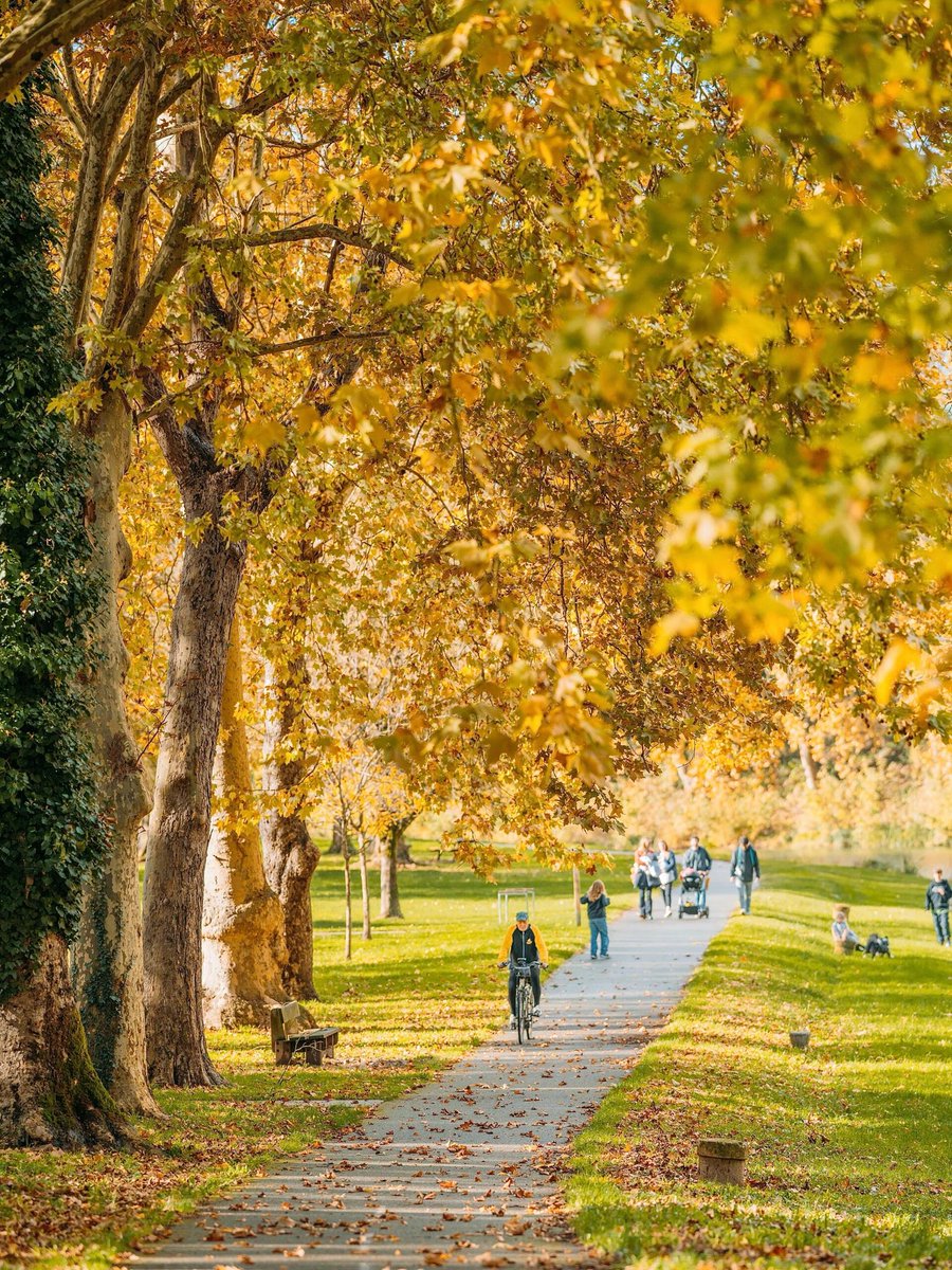 随处散落的秋意