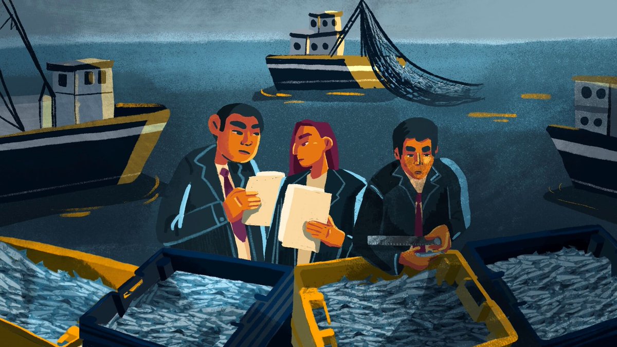 📍🎣 #Produce da DS a favor de pesqueras. 
Determina que 1° temporada de pesca de #anchoveta no será considerada para el cumplimiento obligatorio que tienen de pescar el 80 % de su cuota por barco.
Sin esta ayuda, más adelante, se podría reducir sus cuotas de pesca. 
📷OjoPúblico