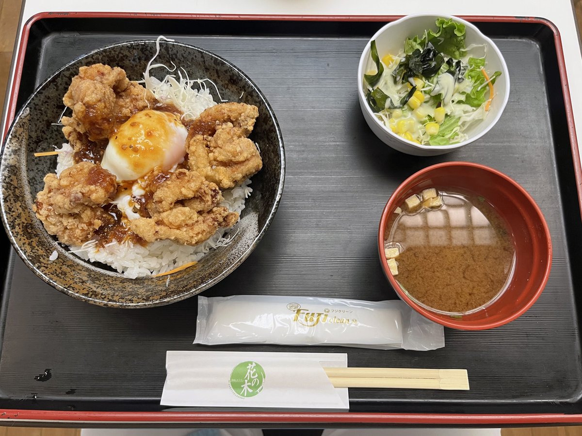 人類の口の永遠の友とうたわれた、ガリ玉からあげ丼。