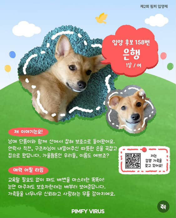 어제 만난 예쁜 아이들 가족 찾아요!