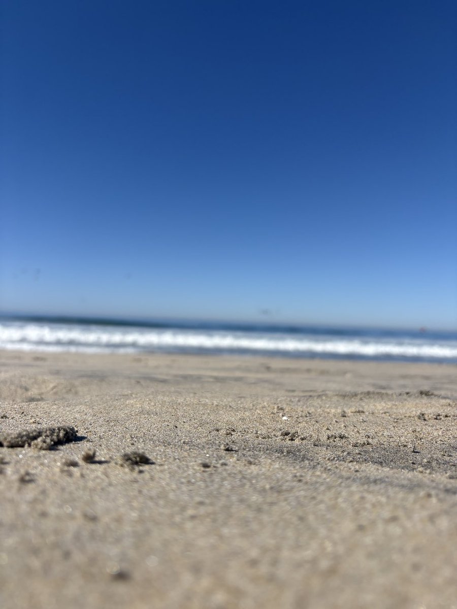 saintloyal's tweet image. Arena limpia.