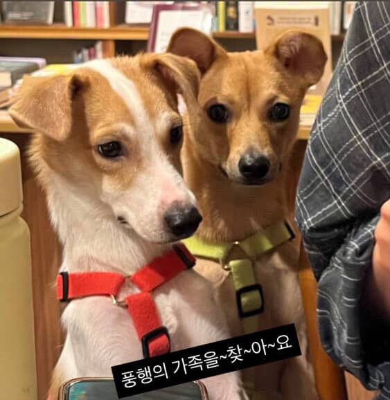 2L (@2l_ibnida) on Twitter photo 