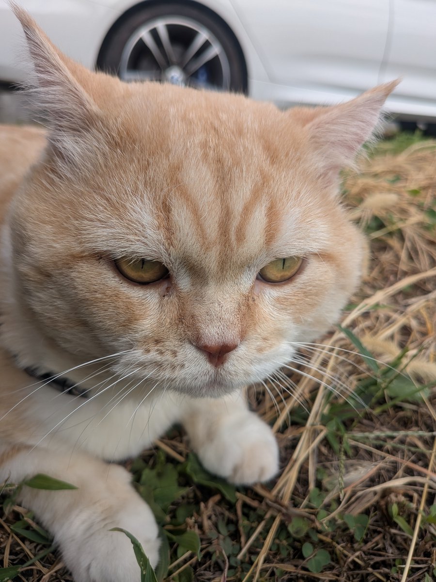 さと様【きのこ❤︎ 説明文&プロフ必読 】 K-To☘️ (@52TnofsrPh7rgfL) / Posts / X