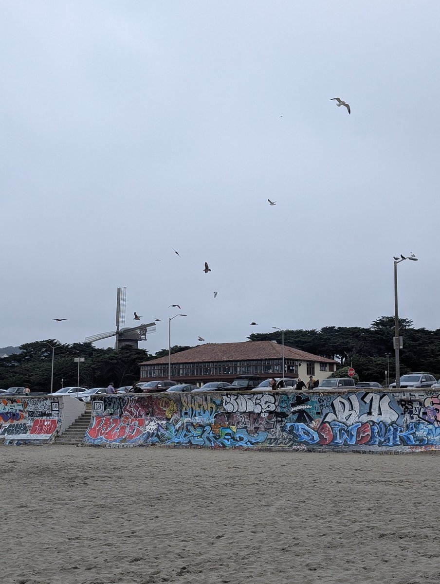 Toda grafiteada la tienen a la playa Pocitos. No cambiamos más.