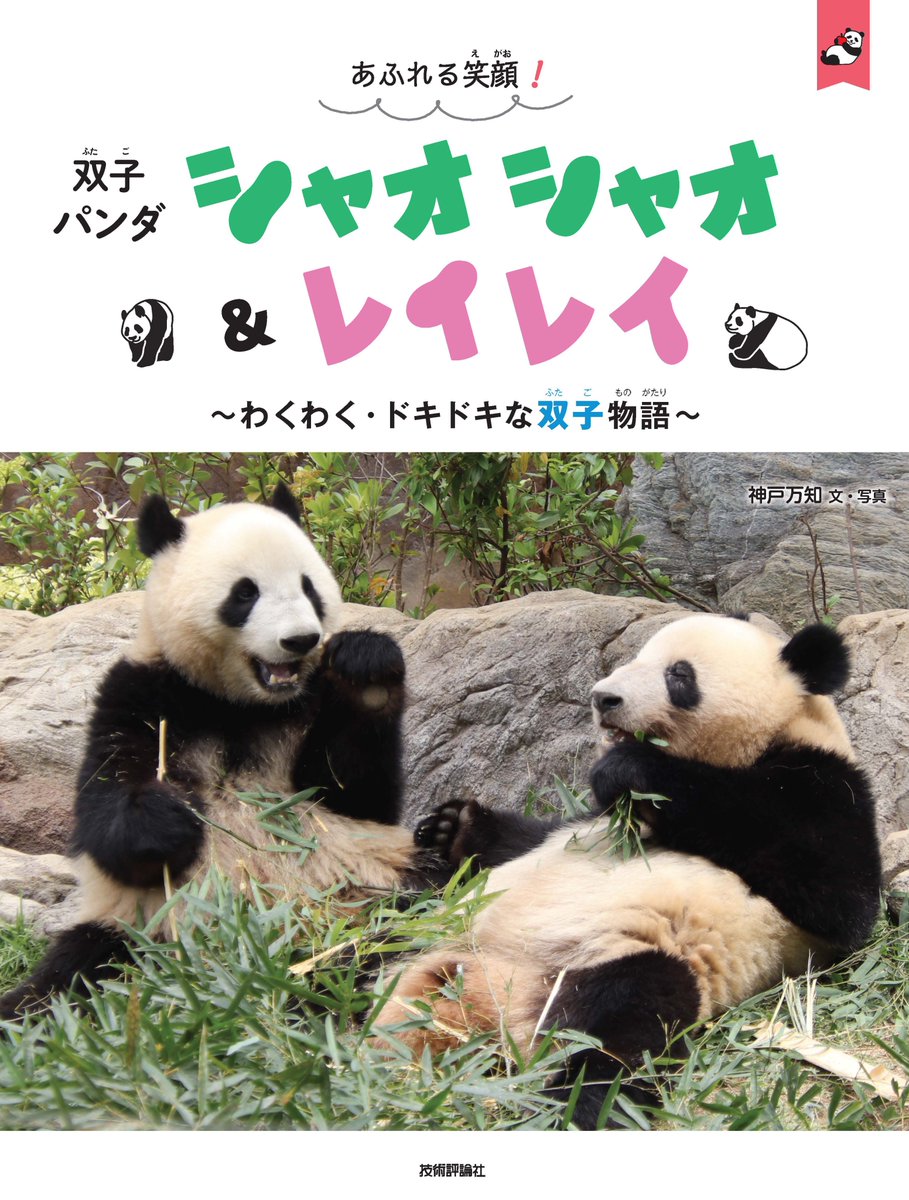 シンシン ポストカード 上野動物園 公式フォトグッズ 受注販売 公式