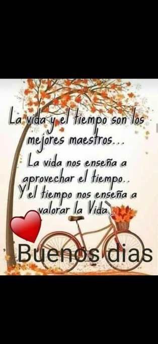 An autumn tree with orange leaves stands in a natural setting. A red bicycle with a basket is positioned nearby. Text overlays in Spanish read La vida y el tiempo son los mejores maestros, La vida nos enseña a aprovechar el tiempo, and Y valorar la vida followed by a red heart and Buenos dias.