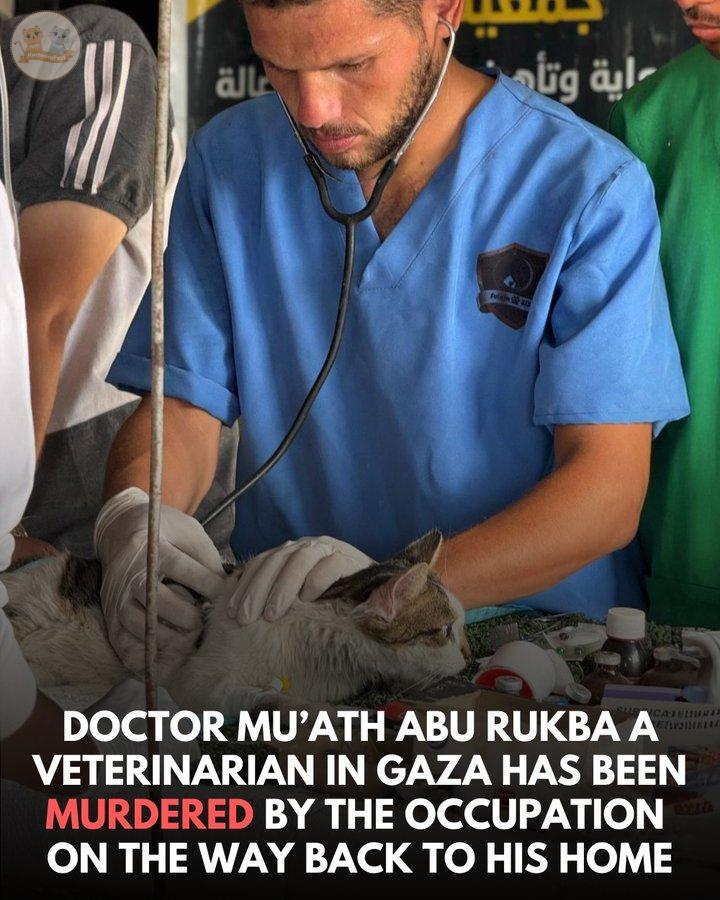 Kcg! Ges, ceasef*** dusta. tetep boikot semampu kalian, kemarin dokter hewan yang berjuang selamatkan banyak kucing, hewan yg terdampak geno*** meninggal kena B*m isriw**. Ya Allah, smoga masih ada dokter hewan yang tersisa