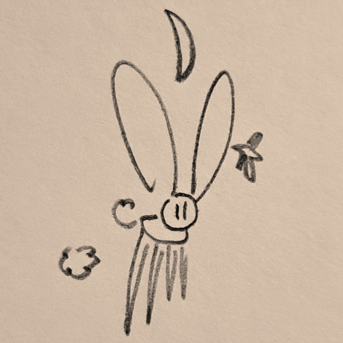 Lord it takes 10 beers to get here