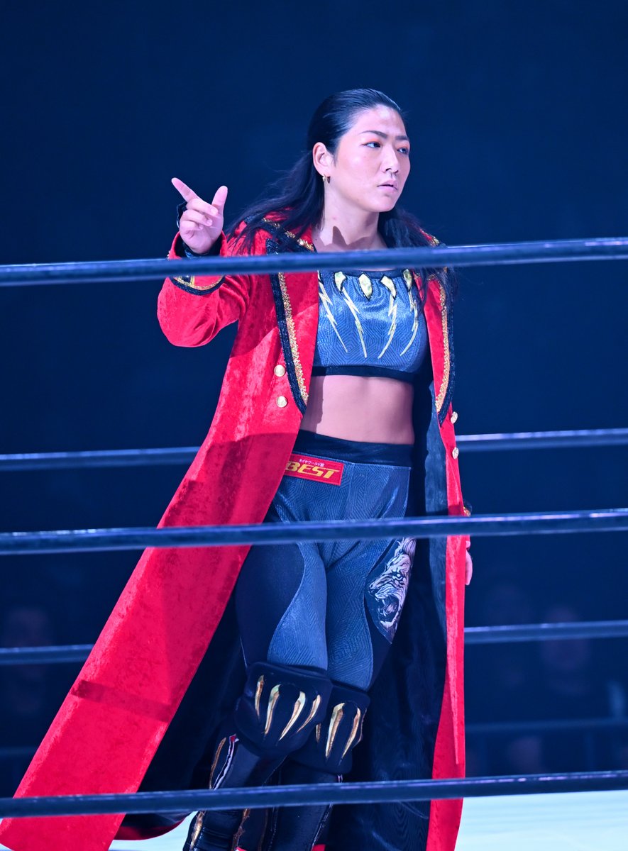 はるか様　arena7② Webike | Puig プーチ サイドダウンフォーススポイラー ZZR1400