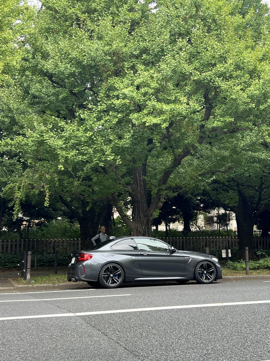 新しい車！OG M2！Gnarly !