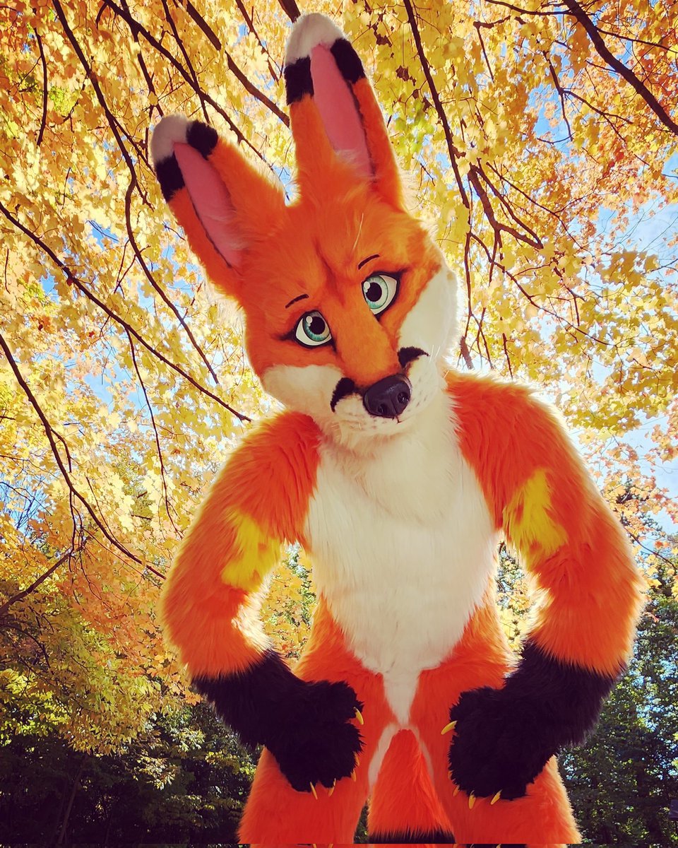 DoonTheFox's tweet image. Hello there :)