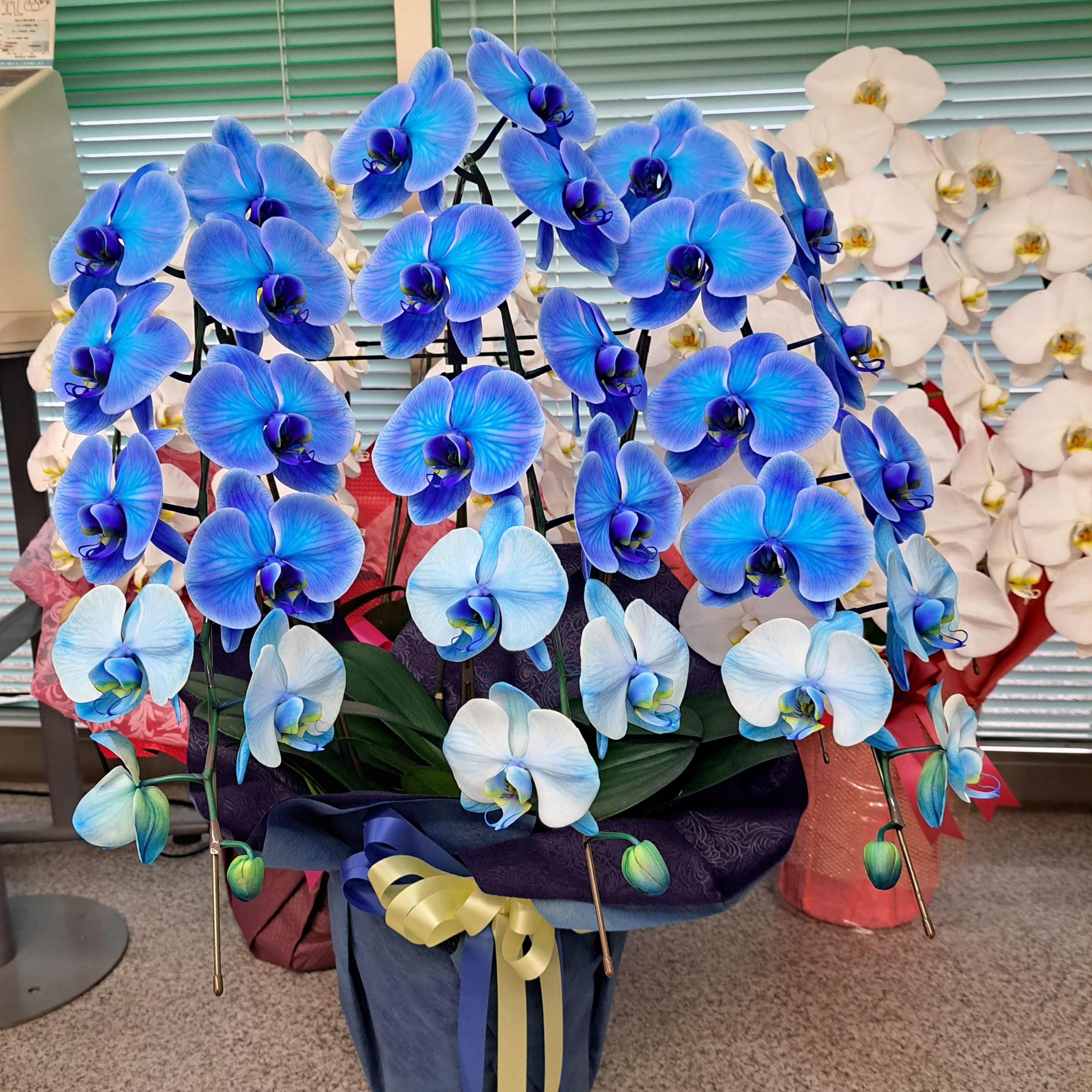 真作保証　エラン　ルトゥシュ　青い花 真作保証 エラン ルトゥシュ 青い花