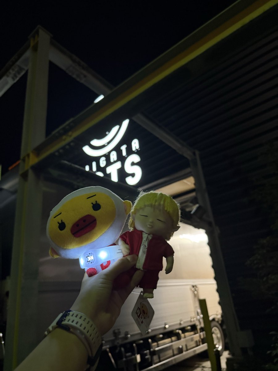 ama_yadoriii's tweet image. 普通にアレすけ自体を可愛く思って
岡山RSKで購入して連れて来て良かった
そっと左手に持って一緒に観戦したね
もっと一緒に色んなLIVE行こうね🐥⸒⸒
ちほちゃんもずっと一緒だよ👶🏻
#MA55IVE #EMPIRECODE