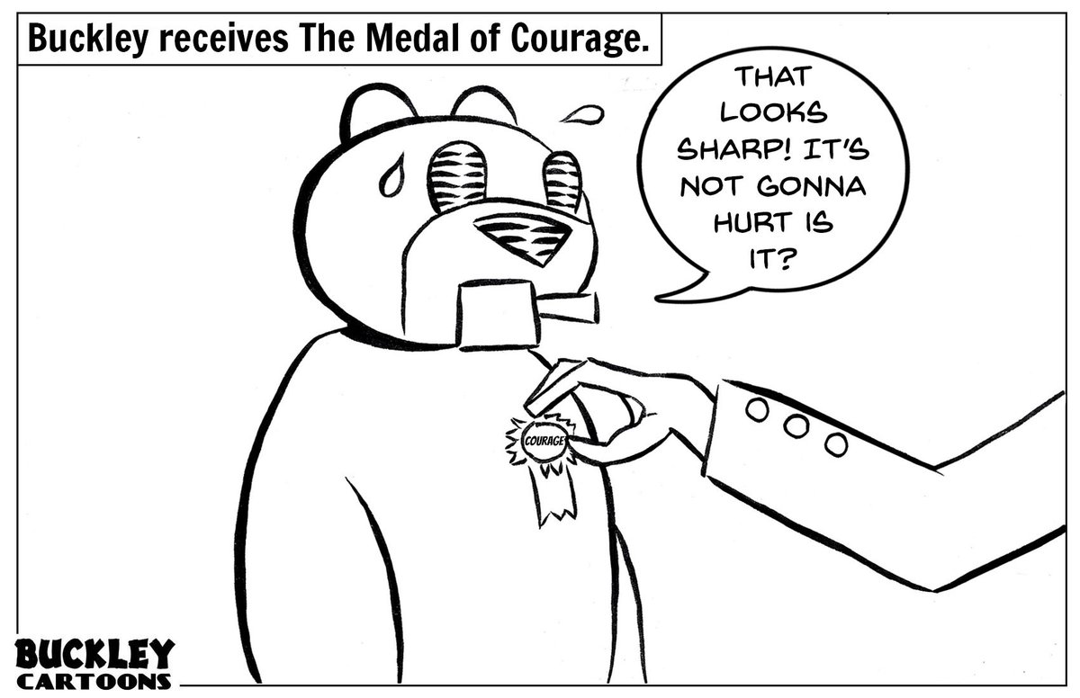 BuckleyCartoons's tweet image. #Courage #Medal #Sharp #Hurt #Cartoon #Beaver