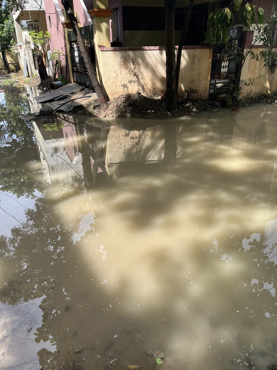 OMRupdates's tweet photo. #OMR Secretariat Colony, Thoraipakkam !
A resident grief of water filled Diwali ! https://t.co/SZxc5QhLT4