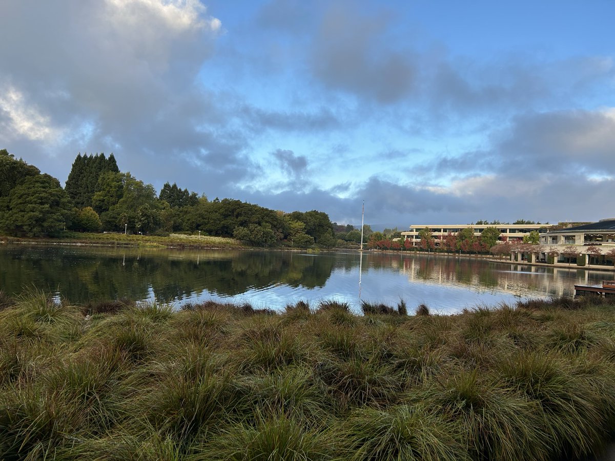 Jacobs Edo tweet media