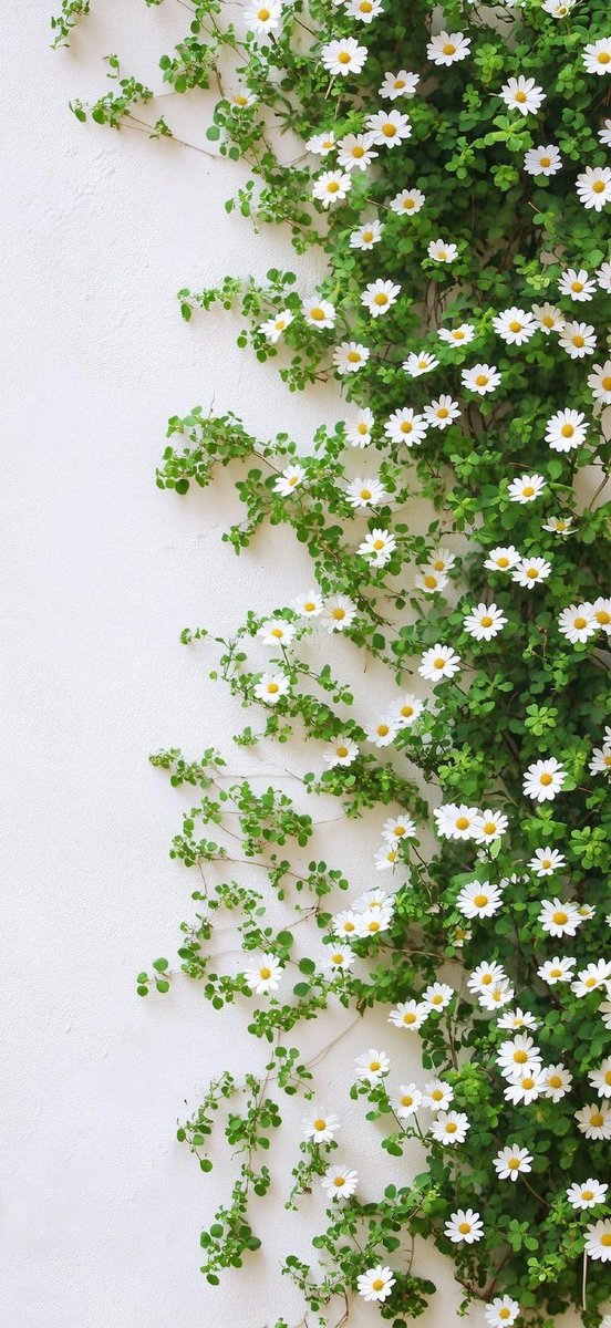 Bir yere kalbinizle bakıyorsanız ,
İlla ki güzellik görürsünüz.

#pazartesi