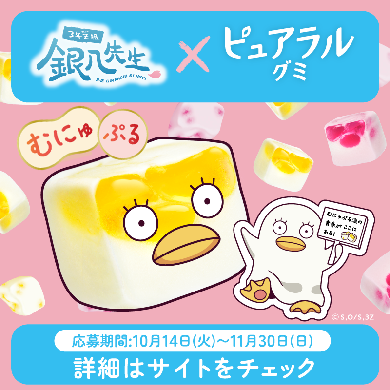 kabaya_official's tweet photo. ピュアラルグミザベスクッション等が当たる！
――――――――――――
むにゅぷる流の青春がここにある！
3年Z組銀八先生×ピュアラルグミ キャンペーン★
全国のスーパー・ドラッグストア等にて販売中！
詳細はサイトをチェック！！