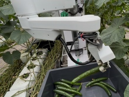 🚀北海道へキュウリ自動収穫ロボットQをお届けしました🚀 北海道・北