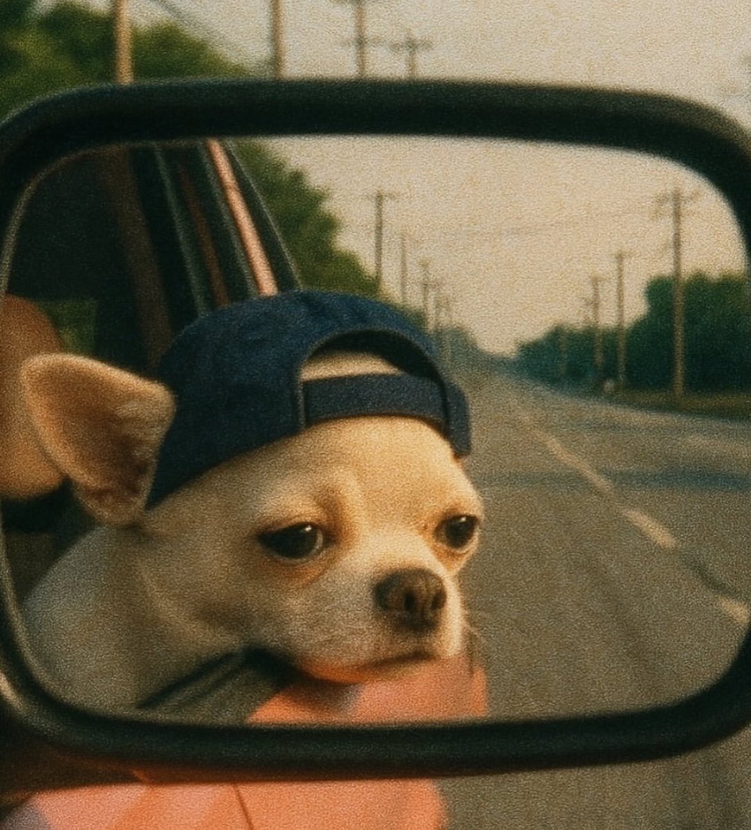 rashel_256's tweet image. Don’t you think washing white clothes before black is racism 🧐😂