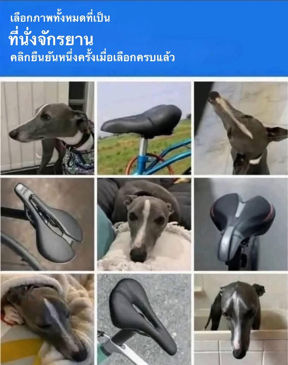 kaenakeng's tweet image. ใครทำน้อง55555555