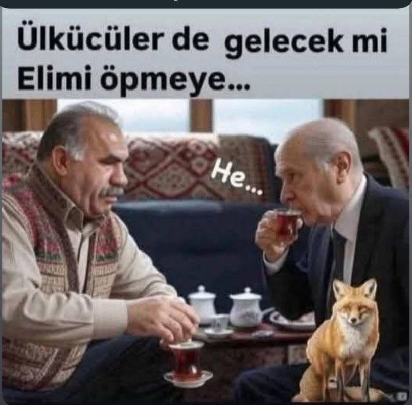 lilugokturk9's tweet photo. @dailyturkist_ #ulkucu bebek katili https://t.co/5tz2KCn6SQ