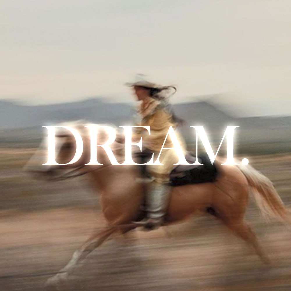 American Dream tweet media