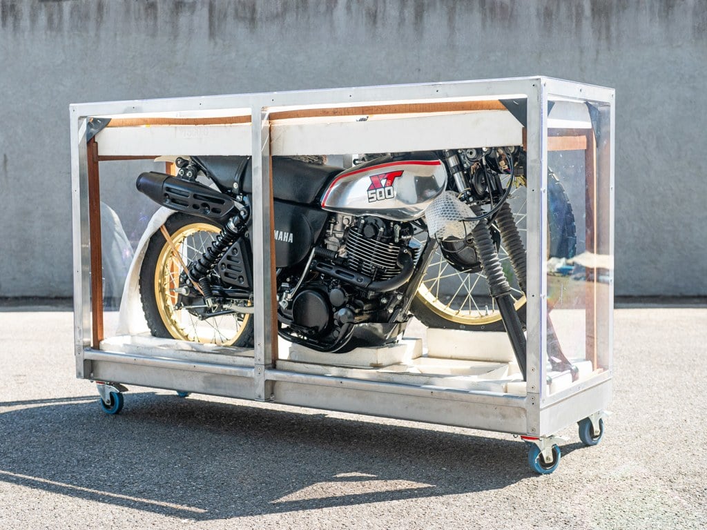 豆柴　1223 宮崎県宮崎市にある豆柴・柴犬ブリーダー「豆柴 桜庵」