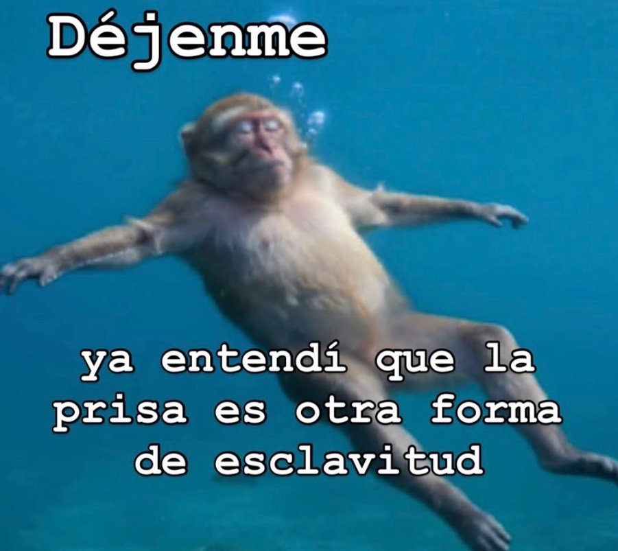 ElArteDeVivir__'s tweet image. 