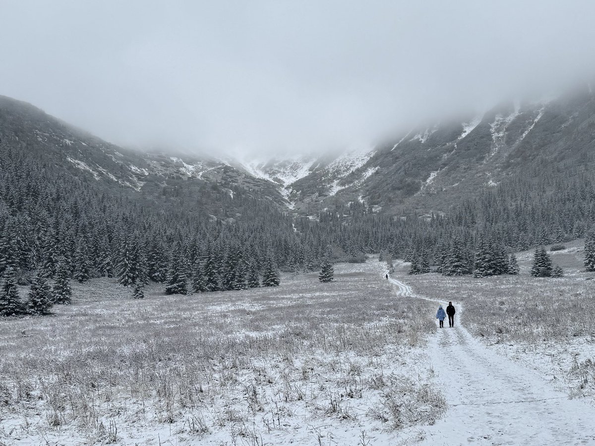 Marcin Roszkowski 🇵🇱 tweet media