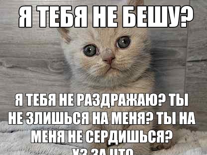 ходил и падал tweet media