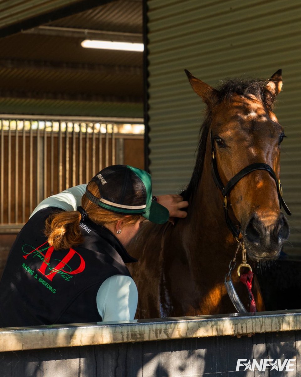 Get your team looking smart with quality, professional branded uniforms built for racing life!
👏 No minimum orders
🏇 Fast turn around times
📦 Free Australia wide shipping for orders over $150
<a href="/amelia_racing/">Amelia Park Racing and Breeding</a>  Softshell Vest &amp; Trucker Cap