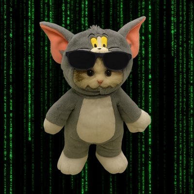 #NewProfilePic $TANG