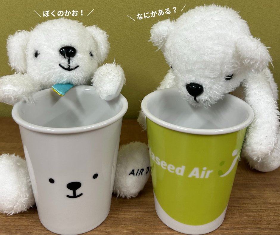 ベア・ドゥたちに10月の機内販売商品を見せてみました • ᴥ