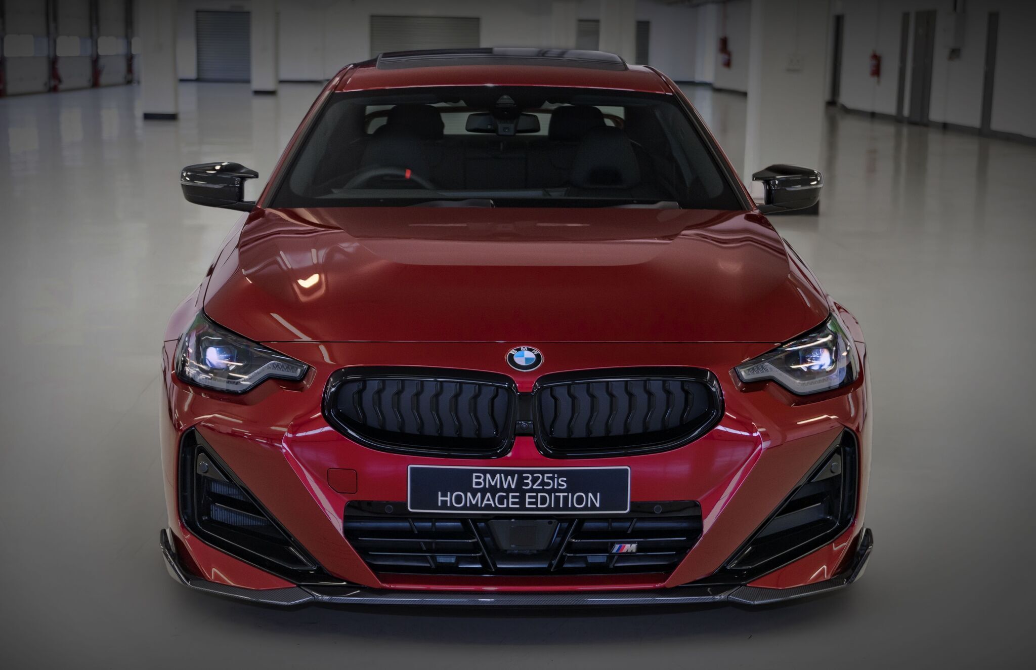 もっさん すみっコぐらし もーちもちとかげ 4974413674508 サンエックス