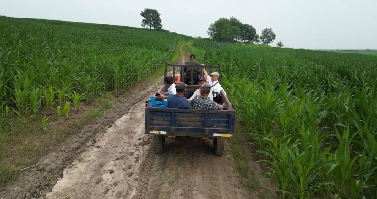 /／  
世界初開催🎥
『#2025中国ドキュメンタリー映画祭InJapan』 
予告編初解禁!! 
\＼    

「#名無しの子」 
運命に翻弄される
中国残留孤児を2年に渡り撮影、
『#再会長江』の竹内亮が描く渾身の感動作!!

#MEGUMI #小島瑠璃子 
📅11/7～11/20 
📮角川シネマ有楽町
youtu.be/rEyXpdKaLhY