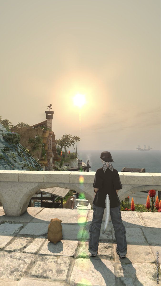 Lhei_FF14's tweet image. 半月ぐらいモチベ下がって放置してましたが生きてます💦

皆さま、お疲れさまです！(*´꒳`*)

#FF14
#FCひだまりにゃんこ