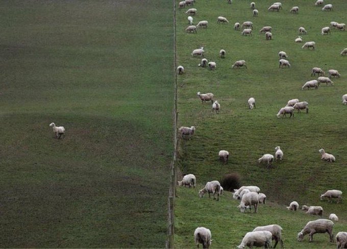 How it feels being bullish.