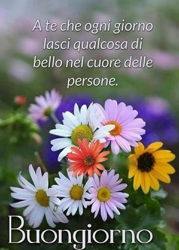 Marianna tweet media