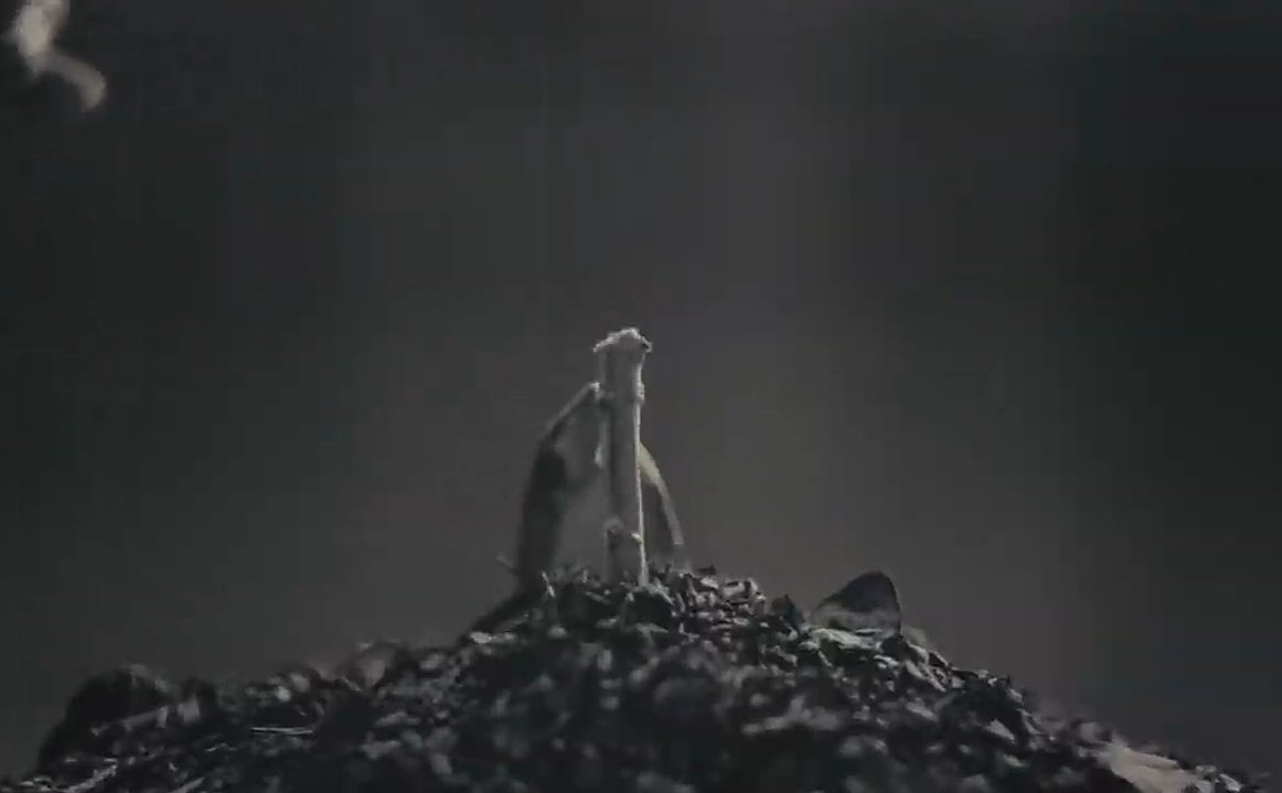 ทั้งหมดนี้มันดู artsy มากๆ สมกับเป็นเขาเลย

NEX BUS COVER PROJECT
#NEX_Lemon
#NEXnattakit
#BUSCOVERPROJECT
#BUSbecauseofyouishine