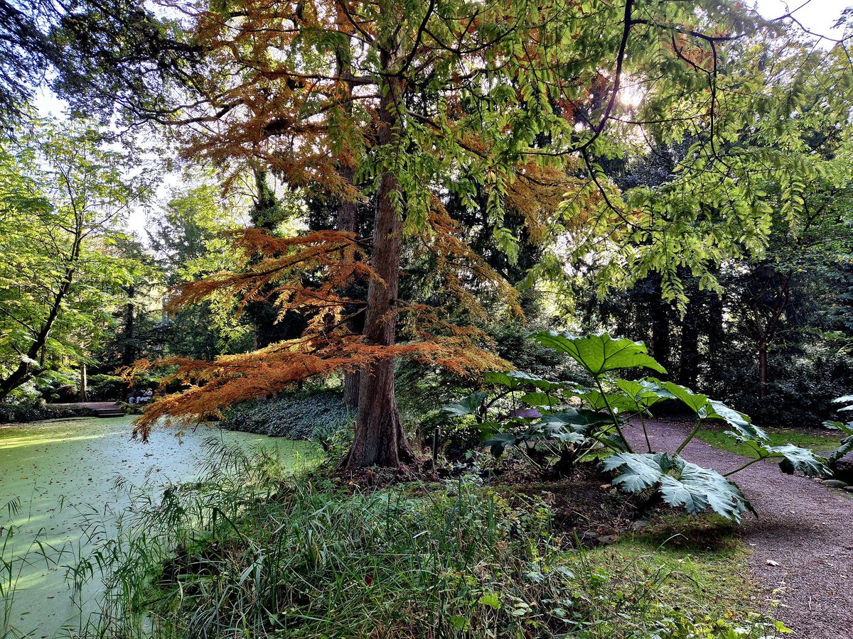 Goedemorgen <a href="/IreneParren/">Irene Parren</a> <a href="/TribbleSlayer_1/">Anja</a> <a href="/henkvanderz/">🌞Henk🏖</a> <a href="/TopogigioRini/">Rini van Son</a> <a href="/daniel170376/">Daniël</a> <a href="/1Henkwestland/">🌞⛱️HenkWestland⛱️🌞</a> Wens jullie allemaal een mooie nieuwe week met veel liefs uit Rotterdam ☁️🌦🌰☕️🍁🍄‍🟫🍂🍄☕️🙋🏼‍♀️