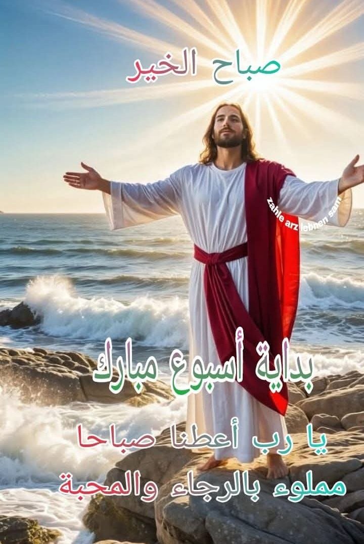 Anisseh Halloun Sleiman (@anissehs) on Twitter photo 