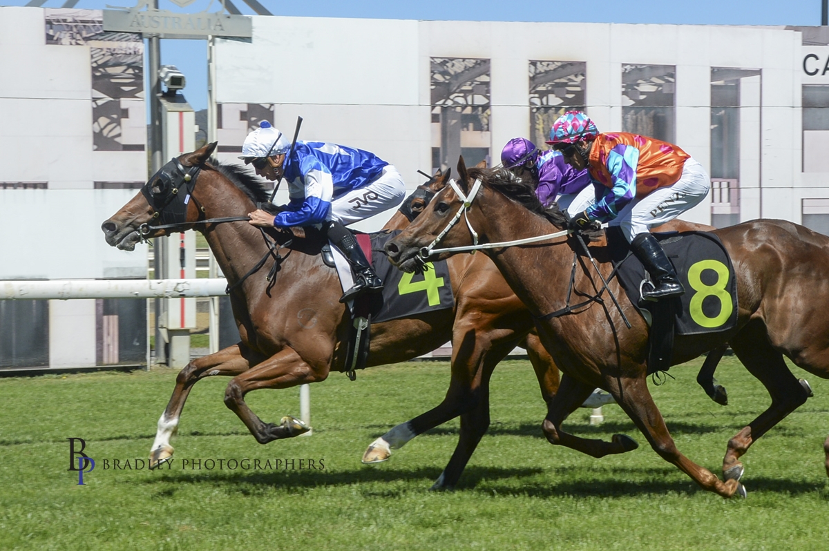 The Stars Align shines bright 🌟
Maiden win at Canberra + strong first-up runs from Callenem Thru, Tyrone’s Power, Balkans &amp; Magic Pharoah!
Full wrap-up on our website 👇littracing.com.au/latest-news
📸 Bradley Photos
#TeamLitt #HorseRacing #CanberraRaces #NSWRacing #ThoroughbredRacing